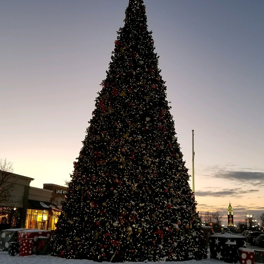 Meet your Posher, Swapna